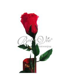 Роза из перьев, приоткрытый бутон, красная купить оптом в Симферополе, Крыму