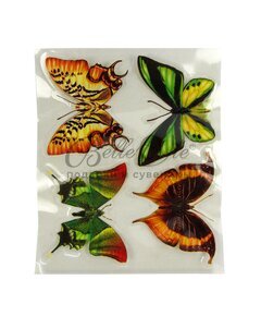 Набор  бабочек: 4 средних  (6 видов) купить оптом в Симферополе, Крыму