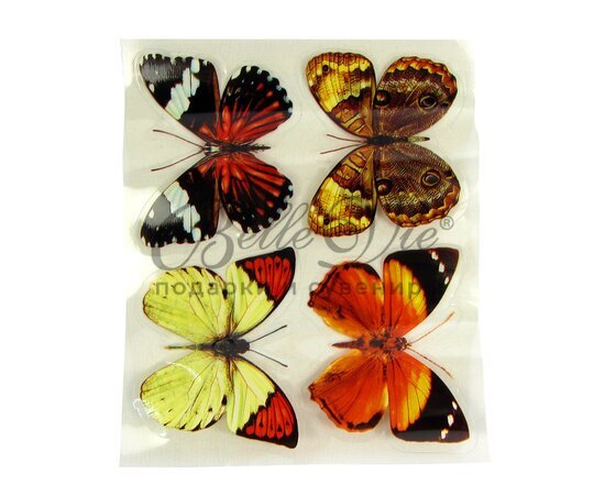 Набор  бабочек: 4 средних  (6 видов) купить оптом в Симферополе, Крыму