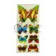 Набор бабочек: 7 штук (1 большая, 6 маленьких)  купить оптом в Симферополе, КрымуНабор бабочек: 7 штук (1 большая, 6 маленьких)  купить оптом в Симферополе, Крыму