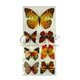 Набор бабочек: 7 штук (1 большая, 6 маленьких)  купить оптом в Симферополе, Крыму